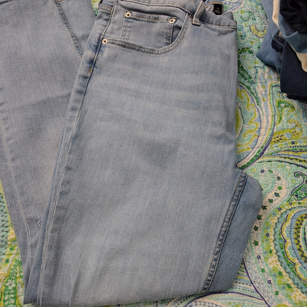 Sky Blue Skinny Jeans for Women